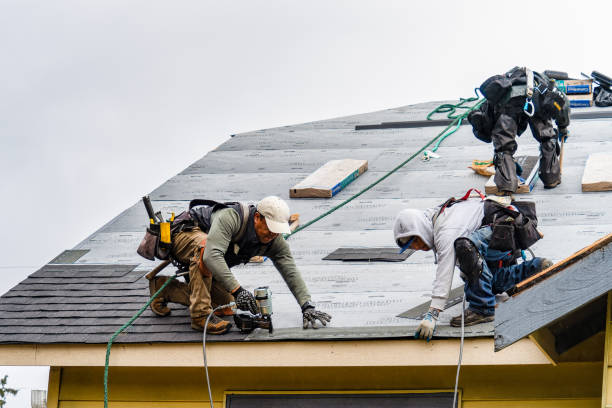 Professional Storm Damage Roof Repair technician working in Hustonville, KY